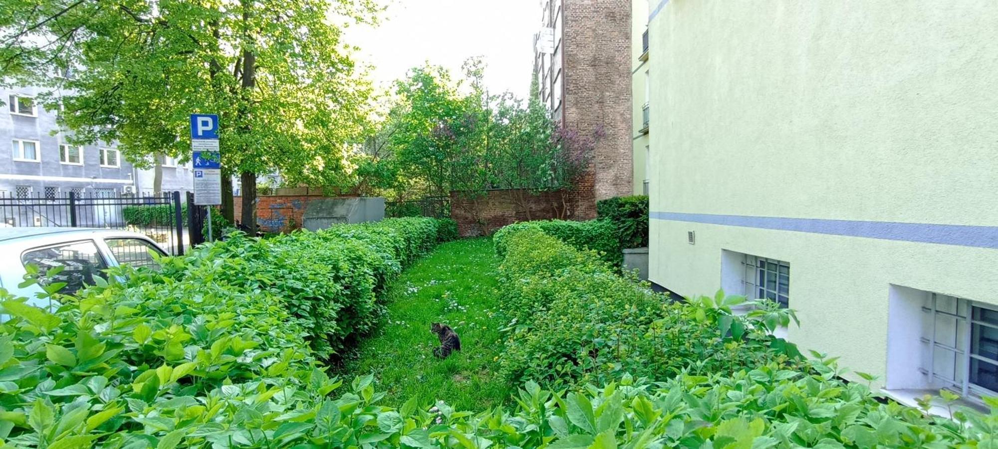 Katarzynka Gdansk Stare Miasto Екстериор снимка